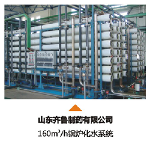 山东齐鲁制药有限公司(图1)